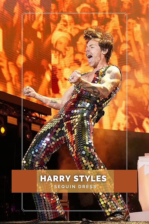 Harry Styles in Sequin Dress