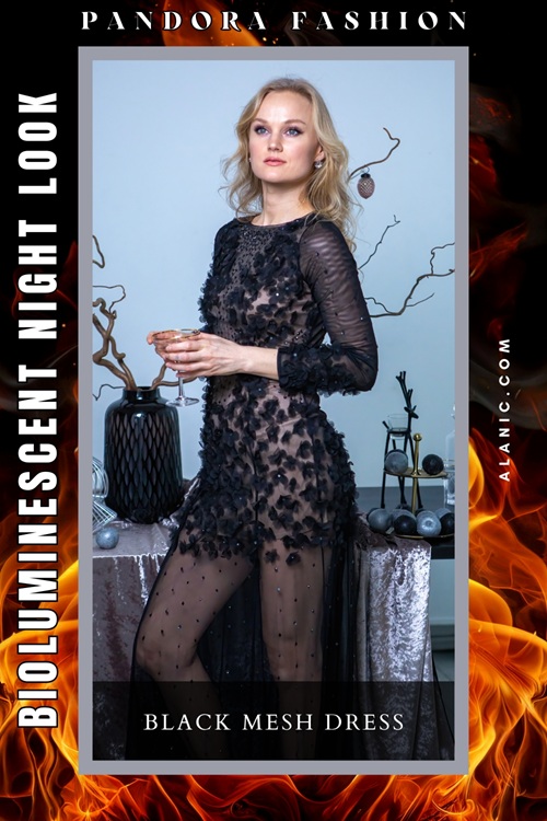 Black Mesh Dress
