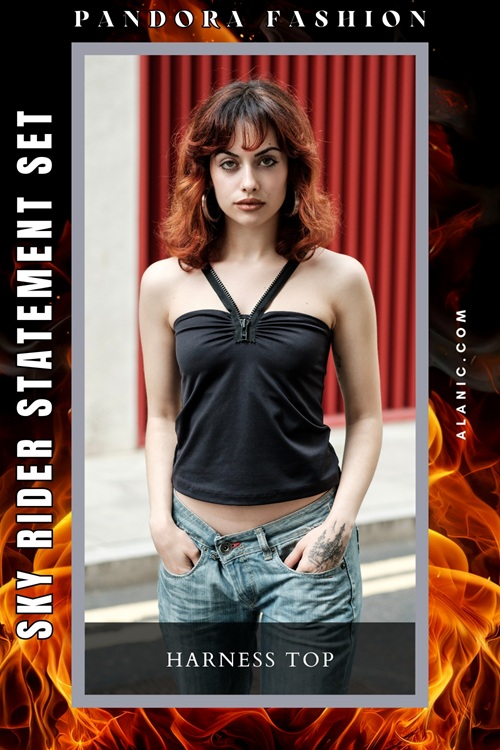 Harness Top