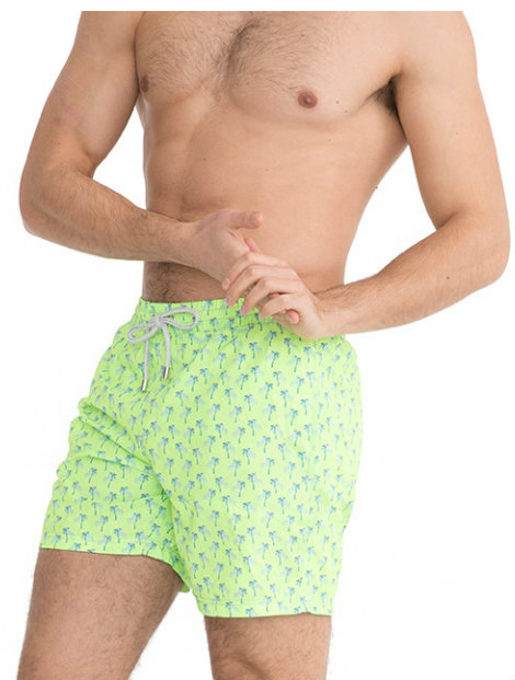 Wholesale Soothing Green Beach Men’s Shorts Manufacturer