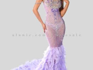 feather added transparent designer maxi dress wholesaler
