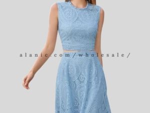 sky blue embroidered skirt for women vendor