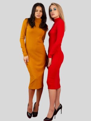 Bodycon Dresses