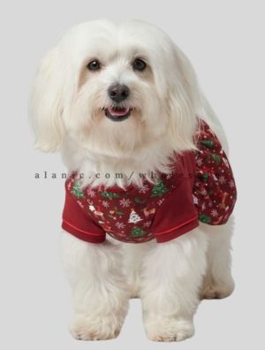 christmas dress for dog supplier