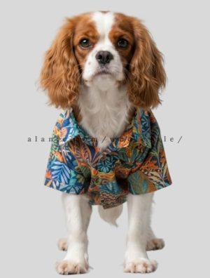 wholesale custom dog shirts for small dogs