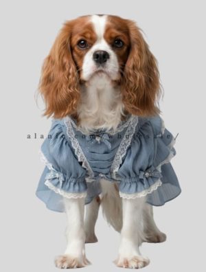 designer princess dress for dog manufacturer