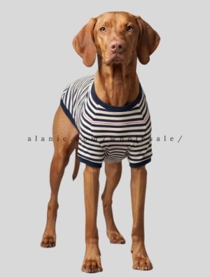 horizontal striped t shirt for dog manufacturer