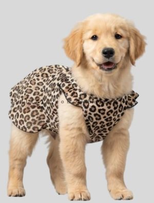 wholesale leopard printed dress for dog