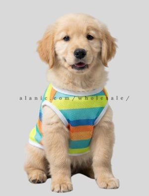 moisture wicking sports tshirt for dog supplier