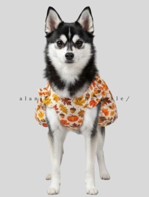 printed autumn dress for dog supplier