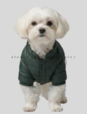 puffer jacket for cute dog supplier